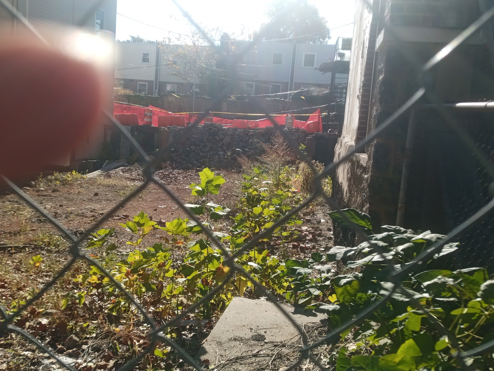 Photographic documentation of the work as submitted to the city's 311 record.