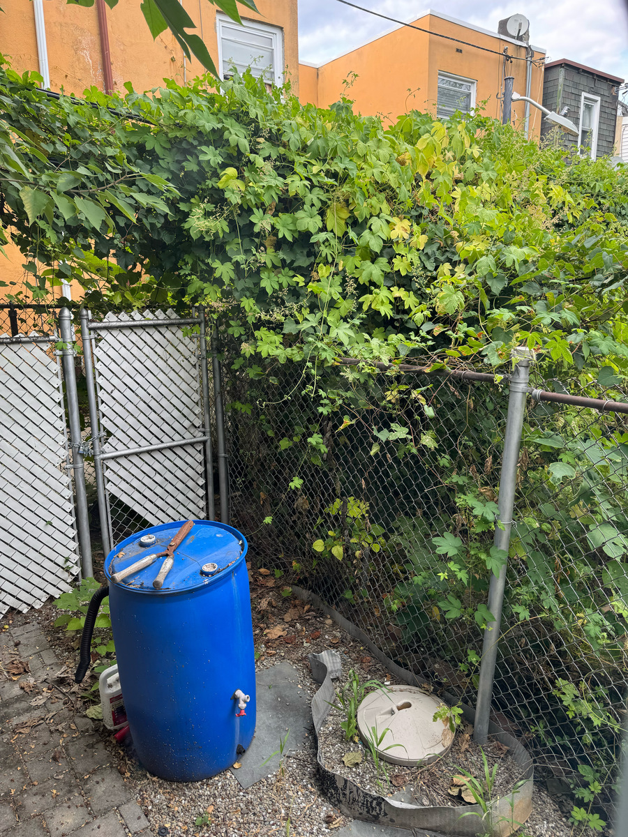 Photographic documentation of the work as submitted to the city's 311 record.