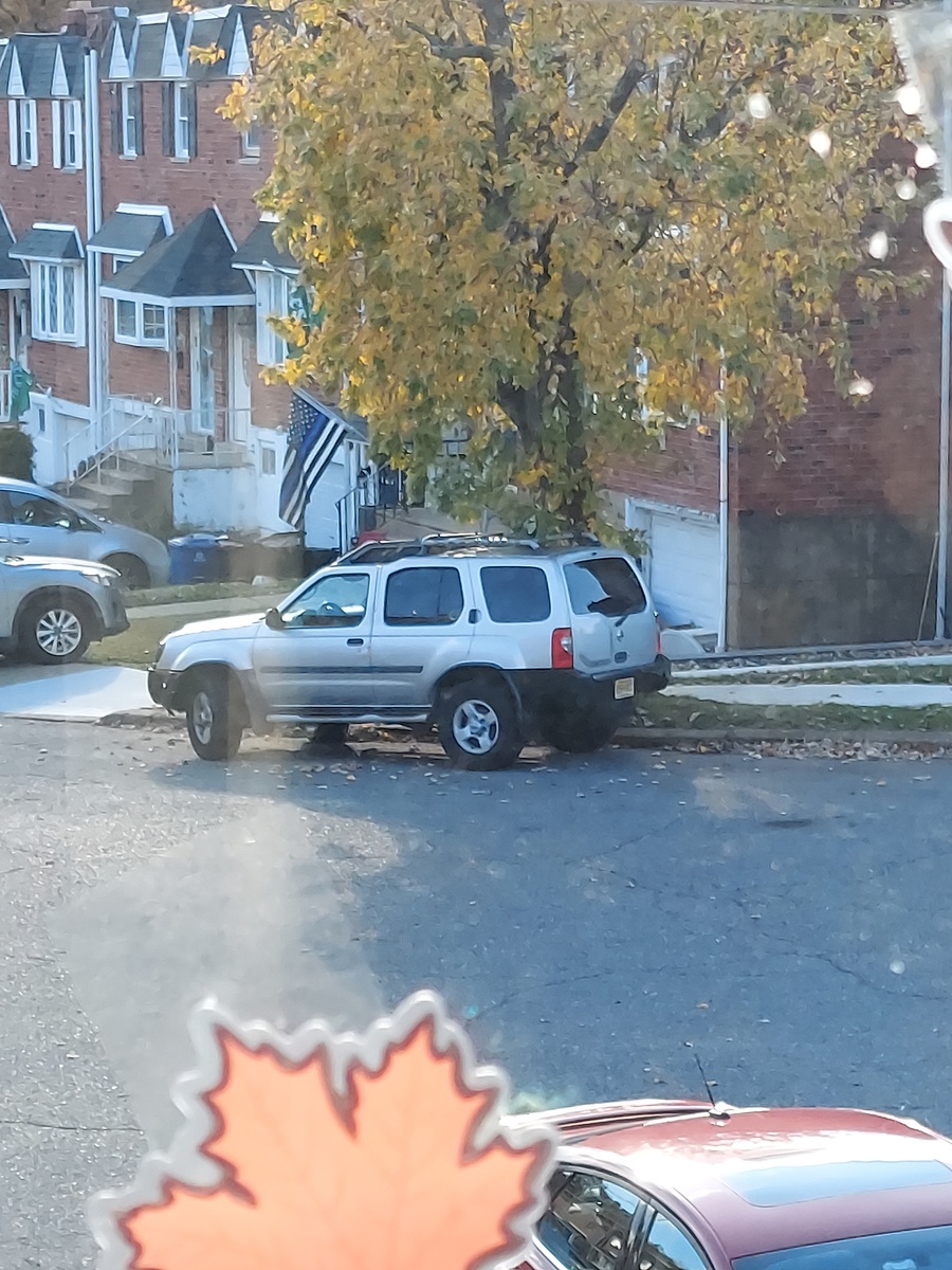Photographic documentation of the work as submitted to the city's 311 record.