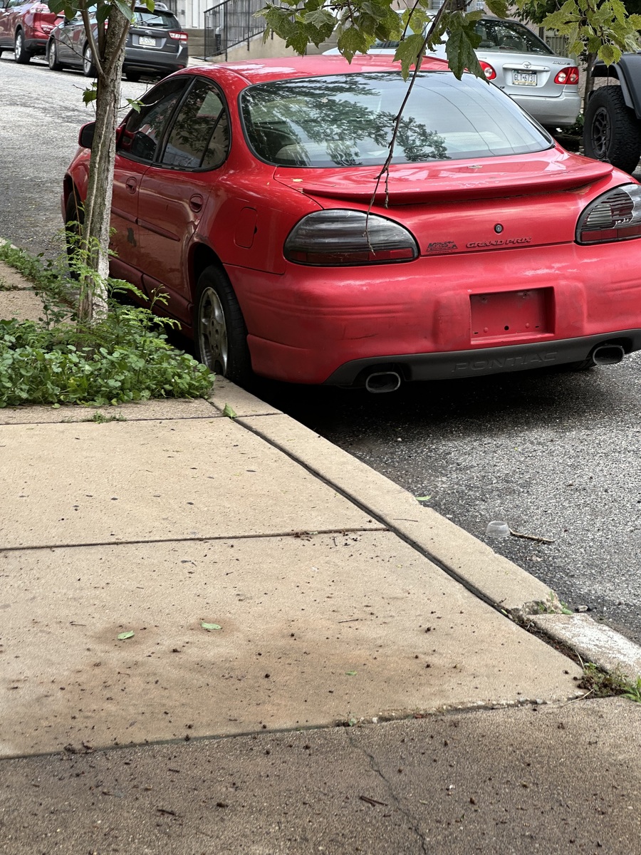 Photographic documentation of the work as submitted to the city's 311 record.