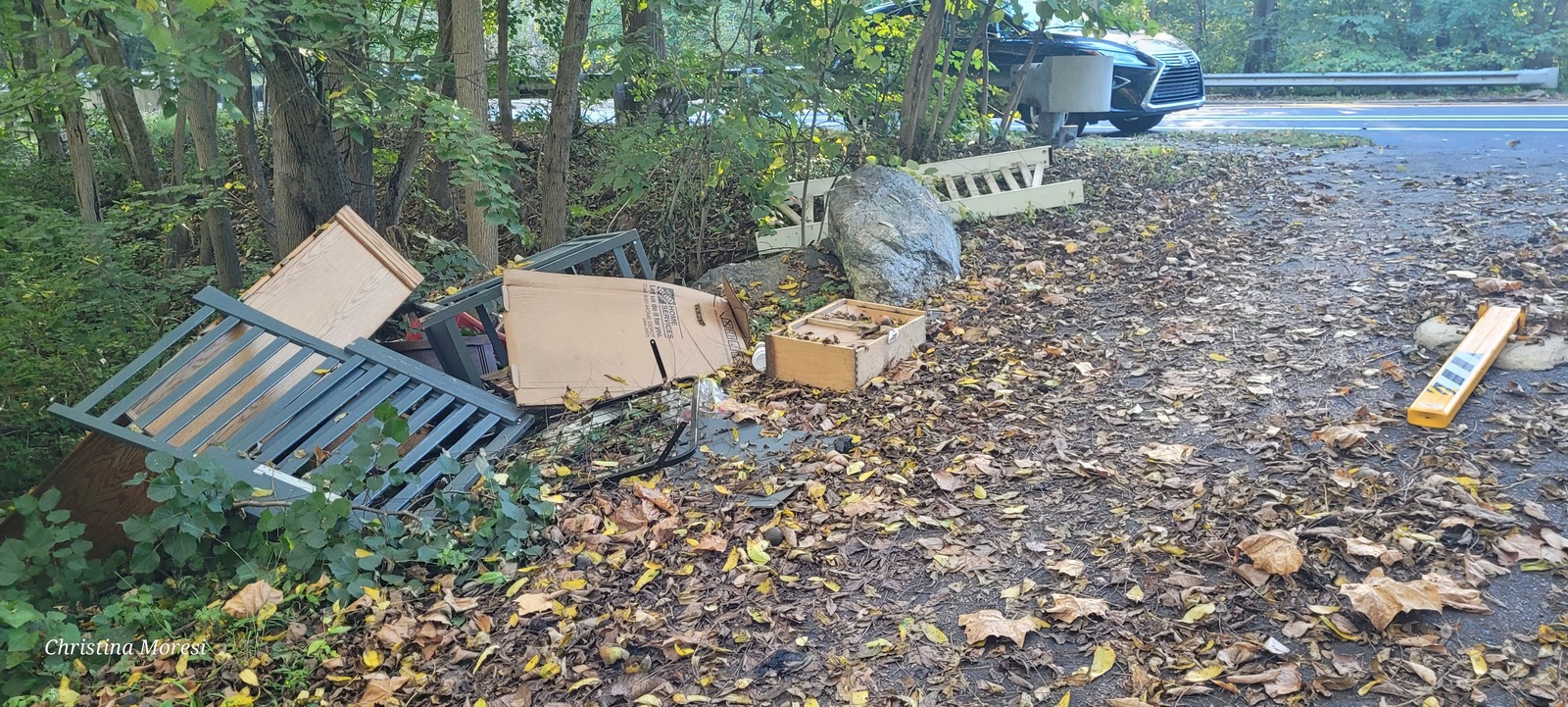Photographic documentation of the work as submitted to the city's 311 record.