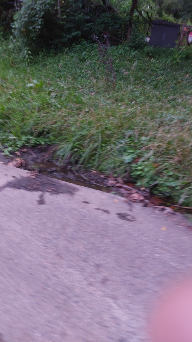 Photographic documentation of the work as submitted to the city's 311 record.