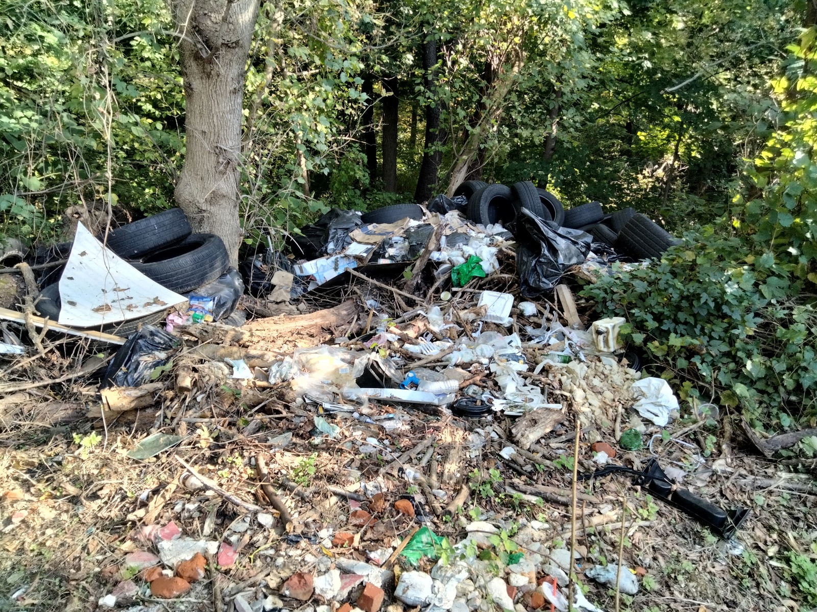 Photographic documentation of the work as submitted to the city's 311 record.