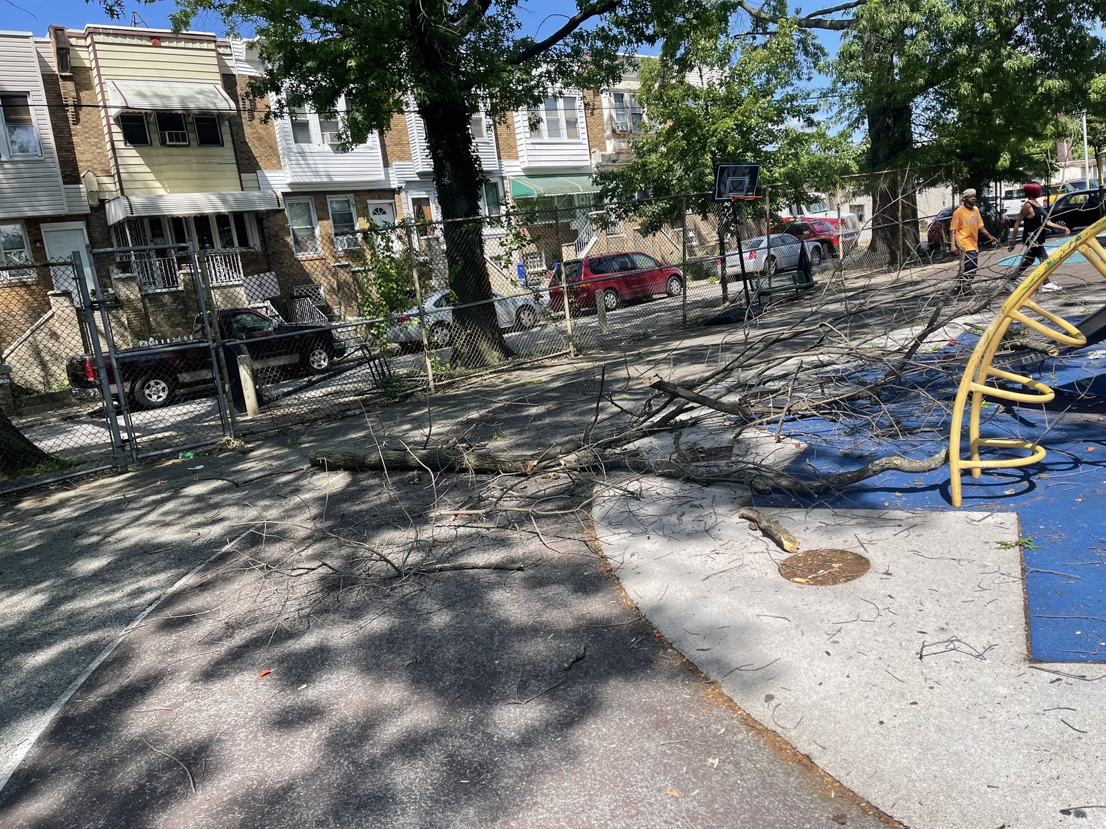 Photographic documentation of the work as submitted to the city's 311 record.