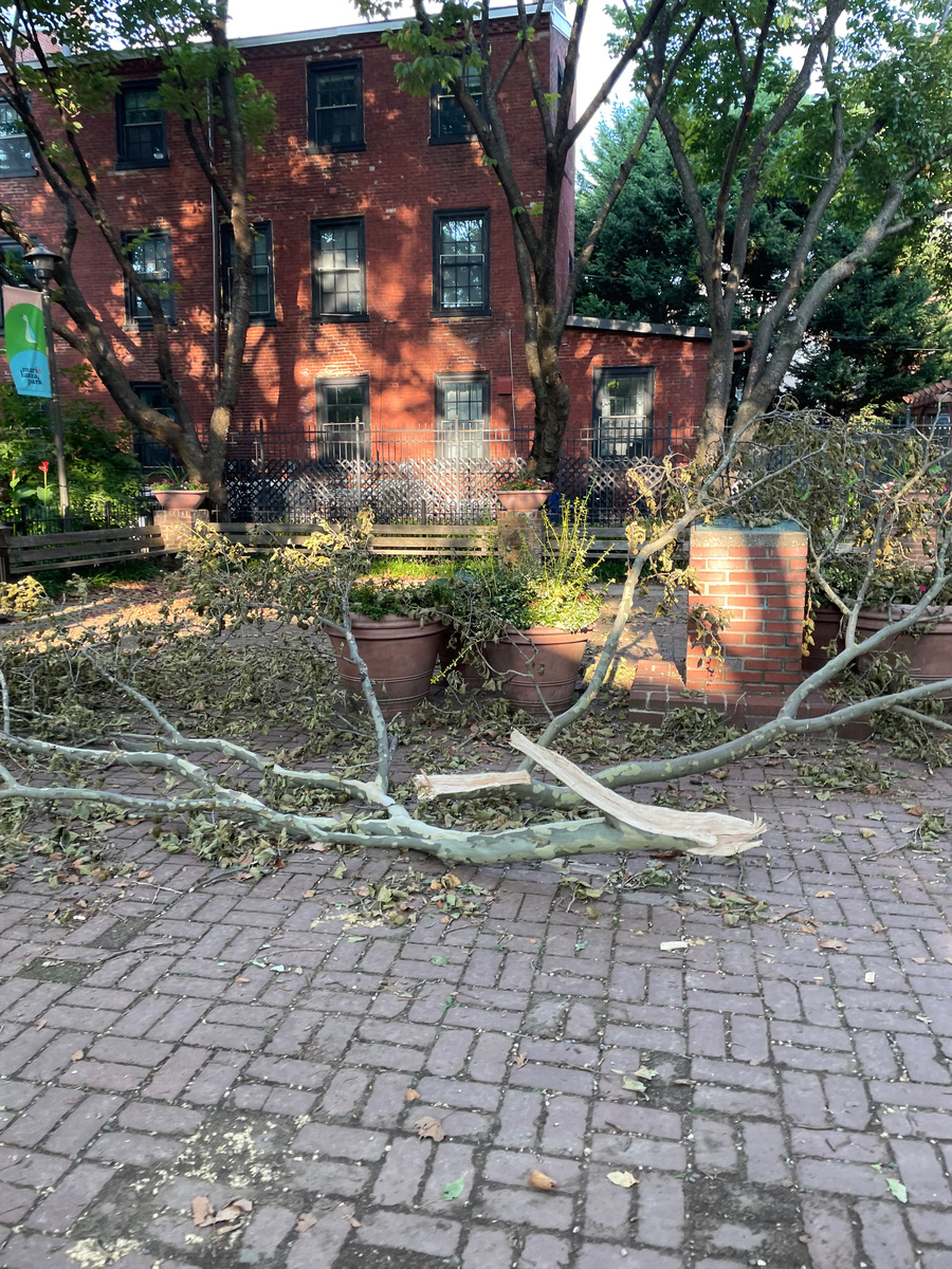 Photographic documentation of the work as submitted to the city's 311 record.