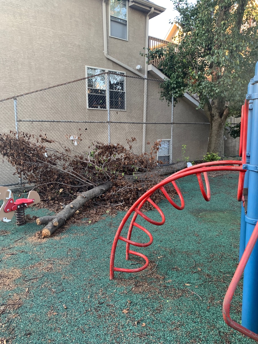 Photographic documentation of the work as submitted to the city's 311 record.