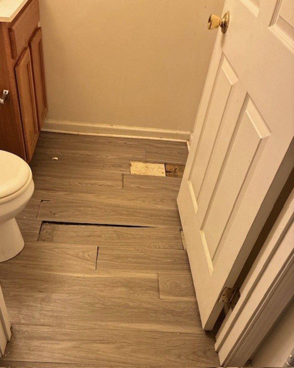 Photographic documentation of the work as submitted to the city's 311 record.