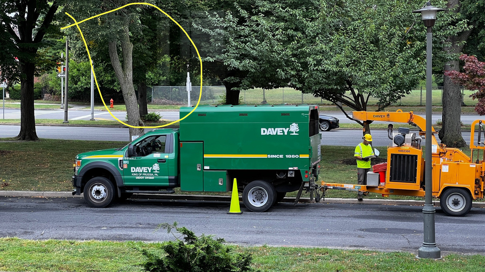 Photographic documentation of the work as submitted to the city's 311 record.