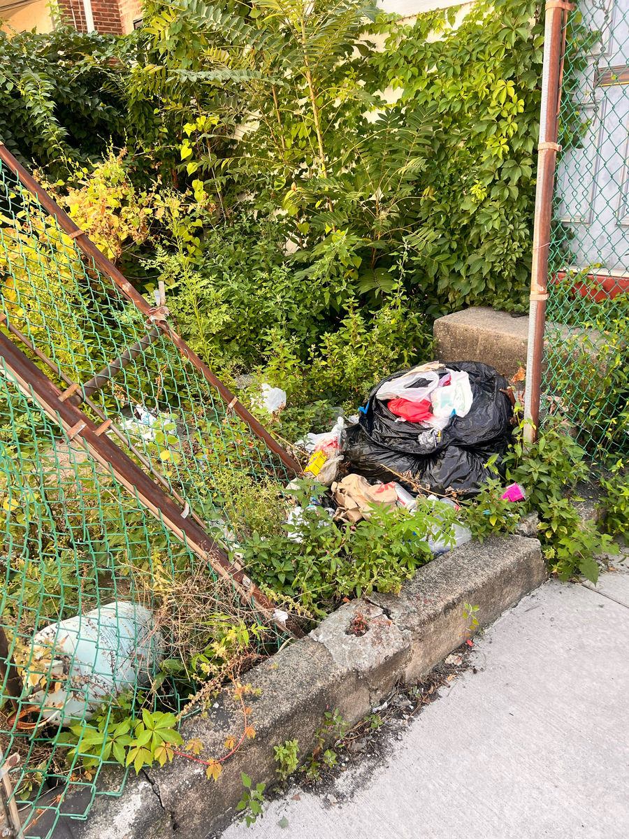 Photographic documentation of the work as submitted to the city's 311 record.
