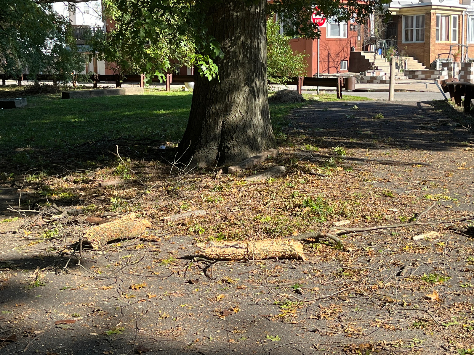 Photographic documentation of the work as submitted to the city's 311 record.