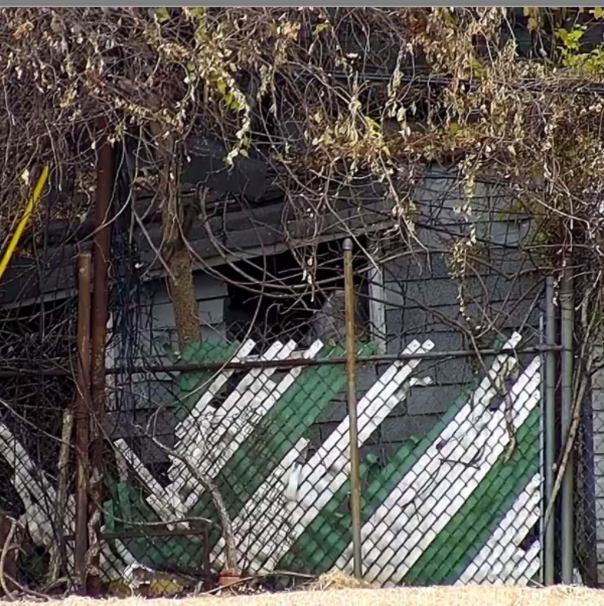 Photographic documentation of the work as submitted to the city's 311 record.