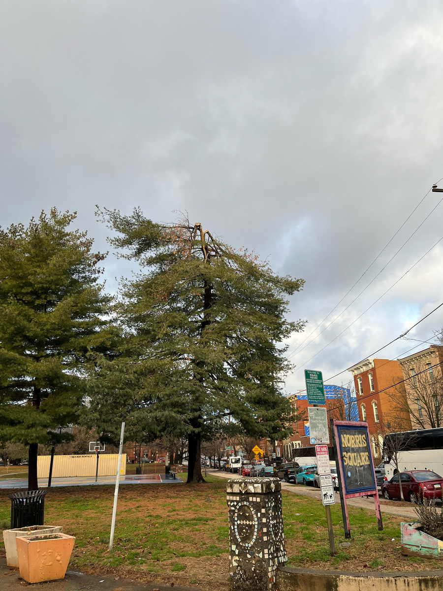 Photographic documentation of the work as submitted to the city's 311 record.