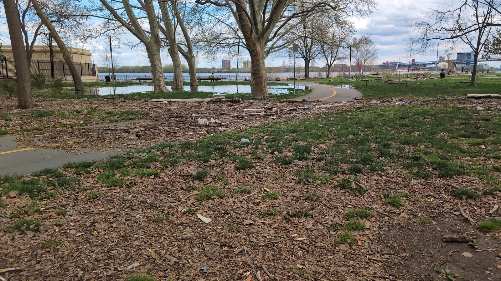 Photographic documentation of the work as submitted to the city's 311 record.
