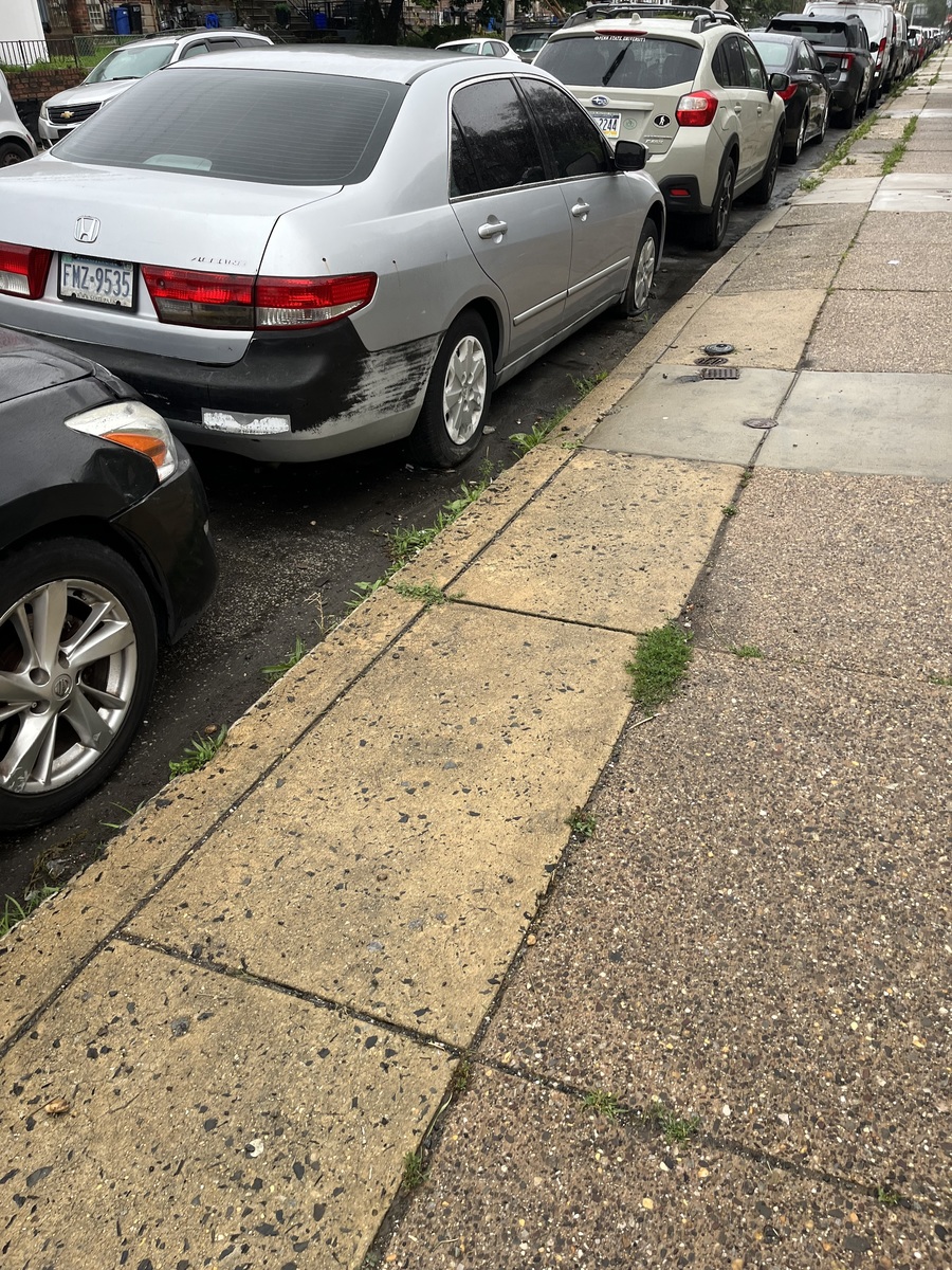 Photographic documentation of the work as submitted to the city's 311 record.