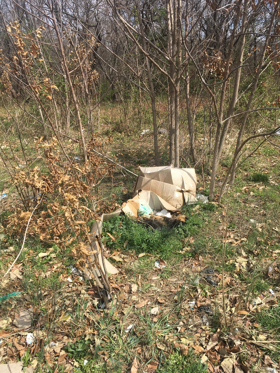 Photographic documentation of the work as submitted to the city's 311 record.
