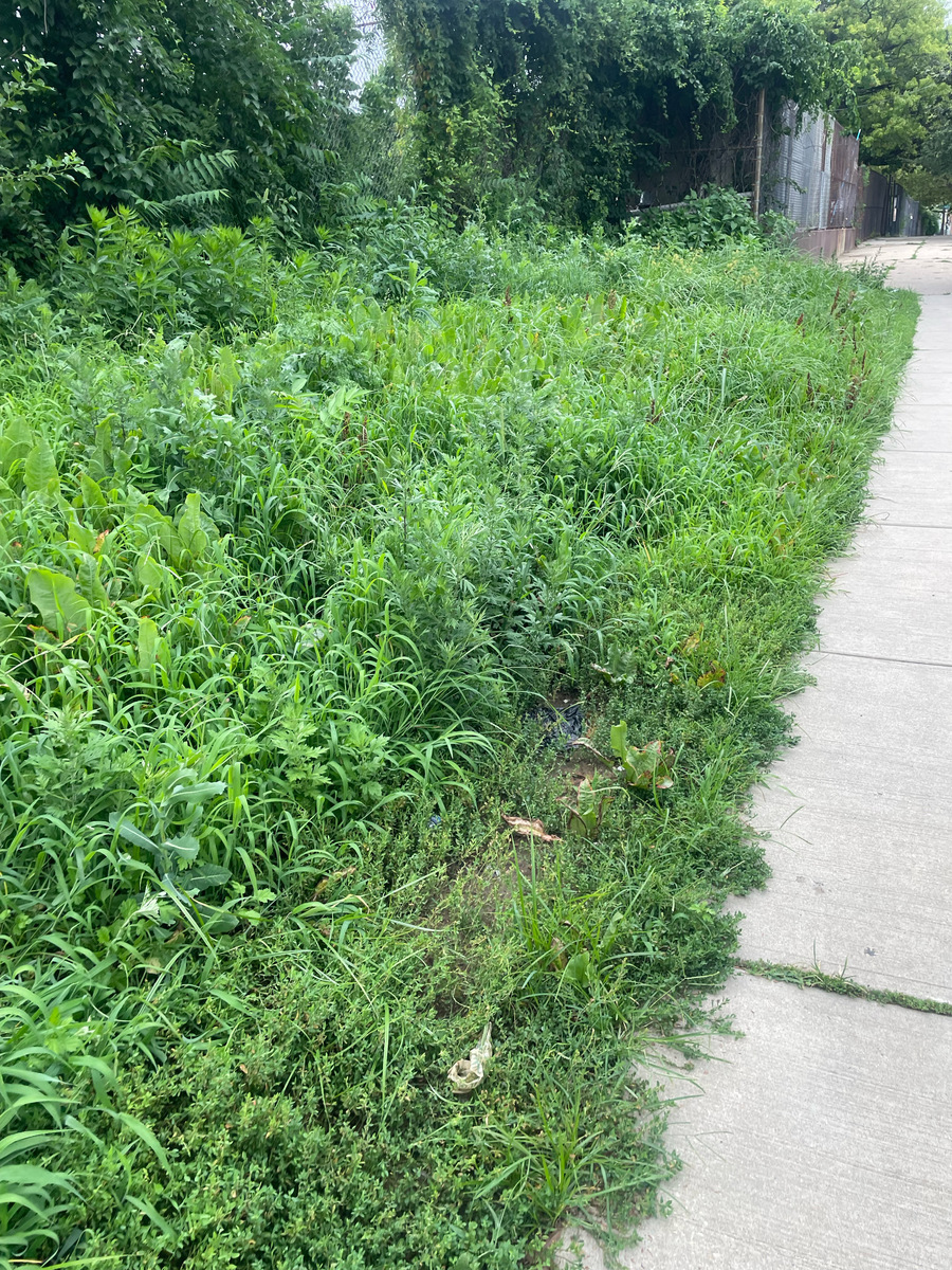 Photographic documentation of the work as submitted to the city's 311 record.