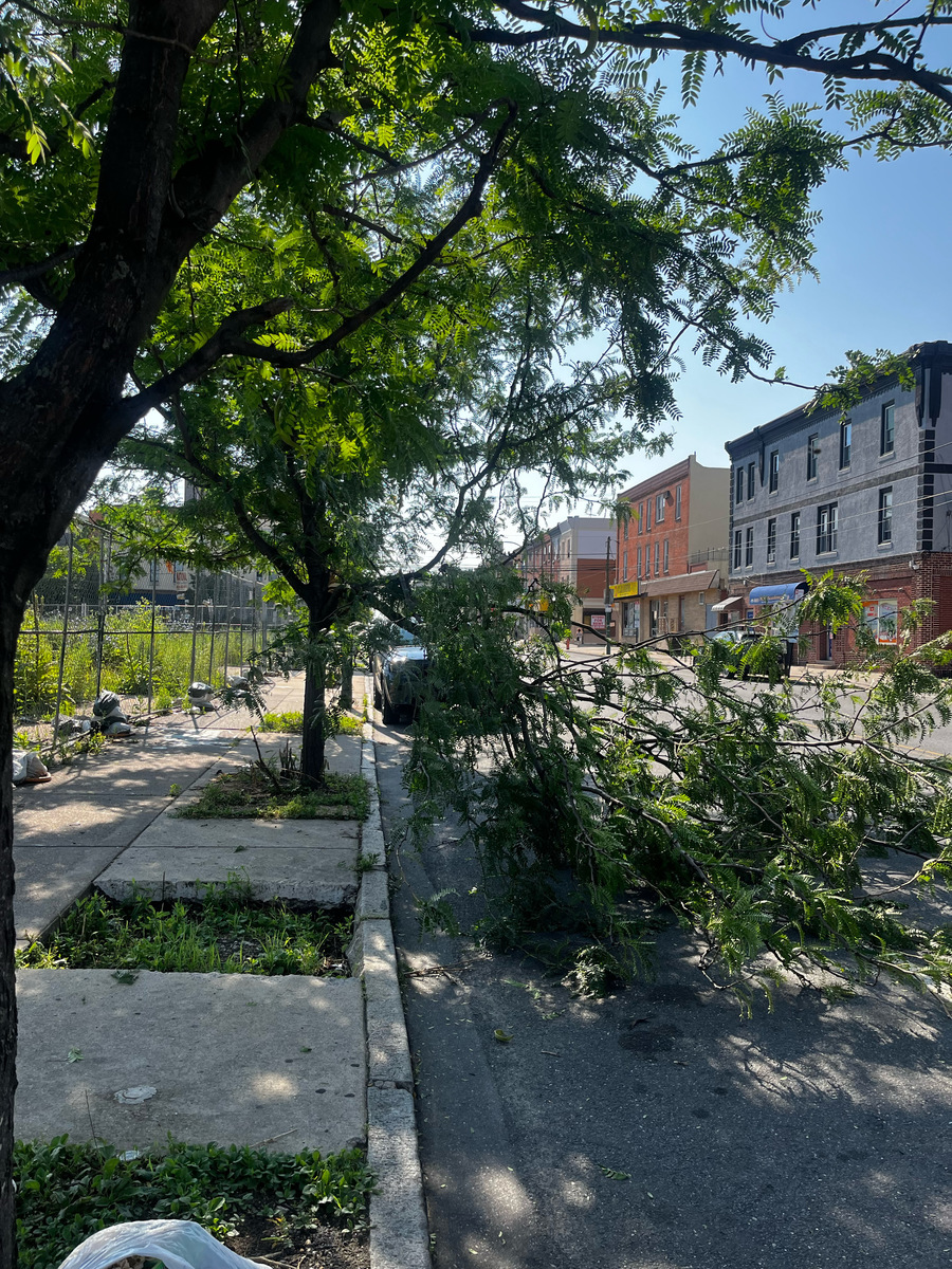 Photographic documentation of the work as submitted to the city's 311 record.