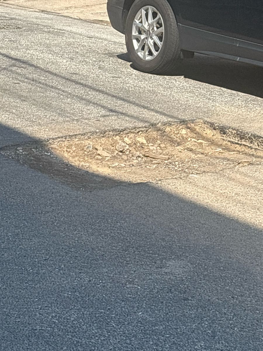 Photographic documentation of the work as submitted to the city's 311 record.
