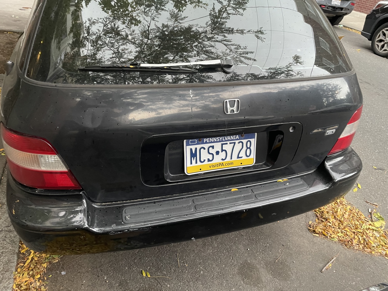 Photographic documentation of the work as submitted to the city's 311 record.