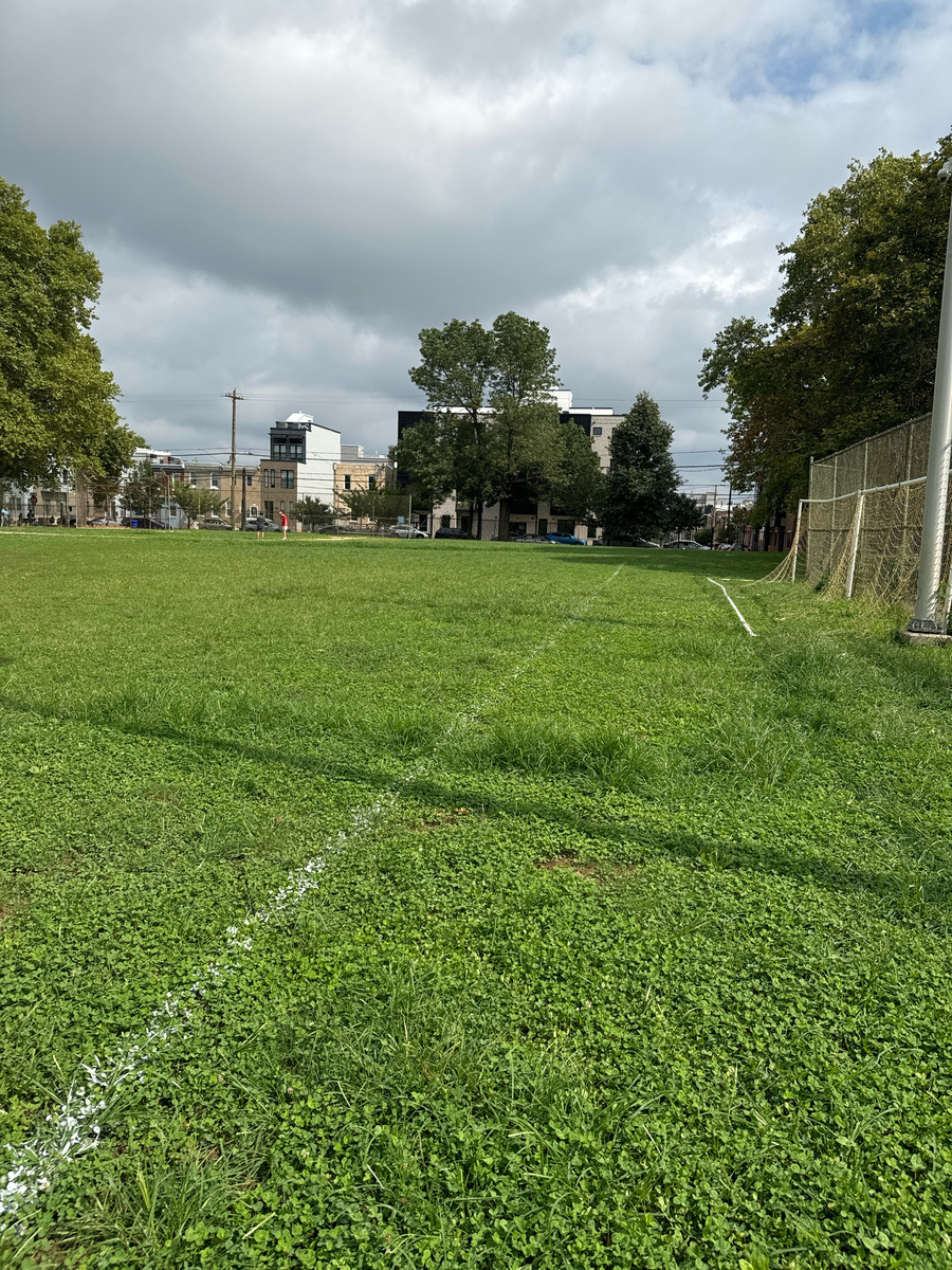 Photographic documentation of the work as submitted to the city's 311 record.