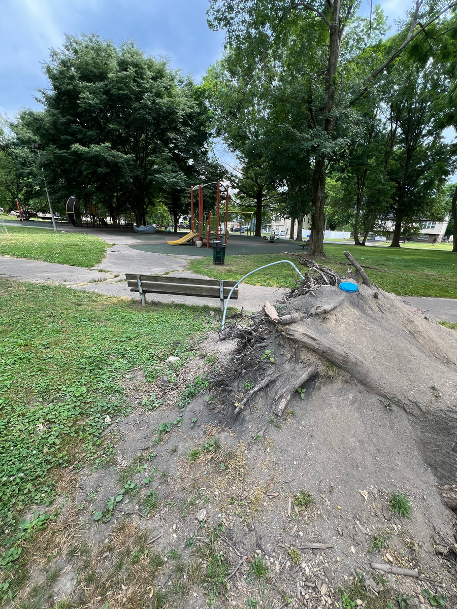 Photographic documentation of the work as submitted to the city's 311 record.