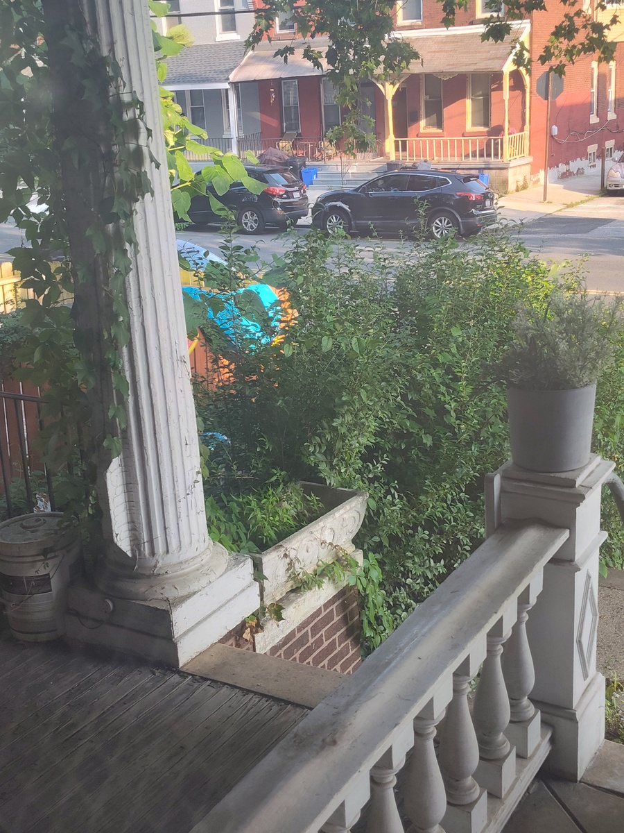 Photographic documentation of the work as submitted to the city's 311 record.