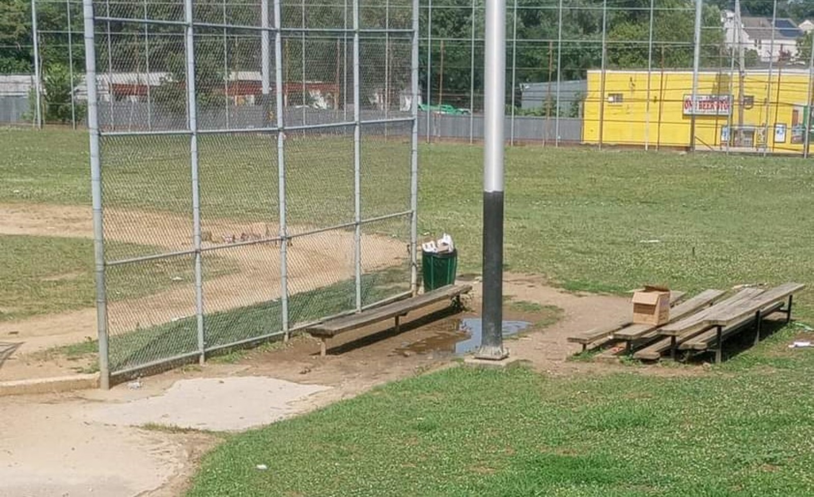 Photographic documentation of the work as submitted to the city's 311 record.