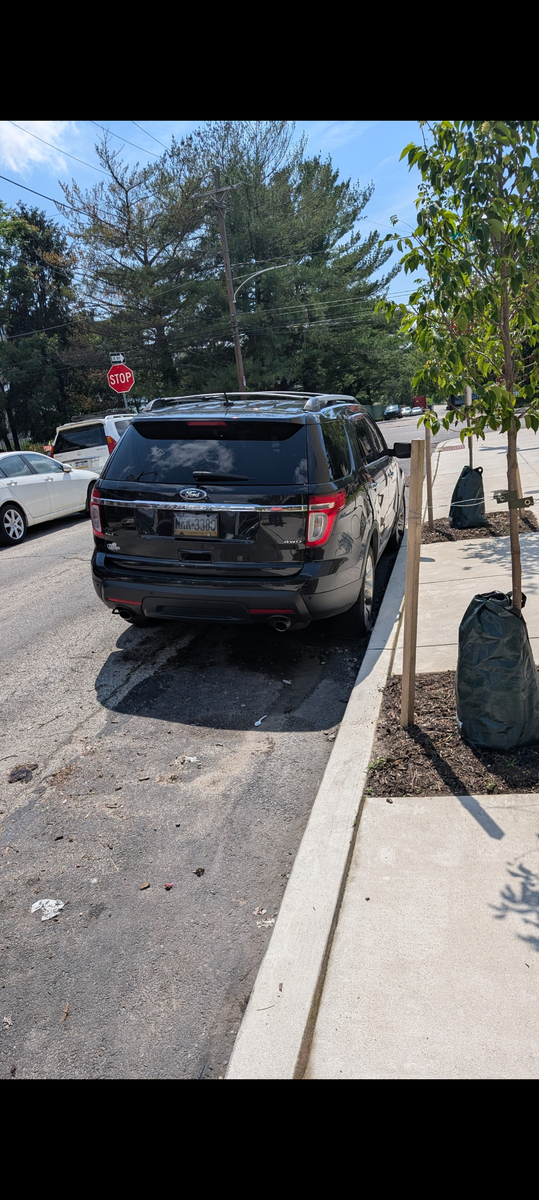 Photographic documentation of the work as submitted to the city's 311 record.