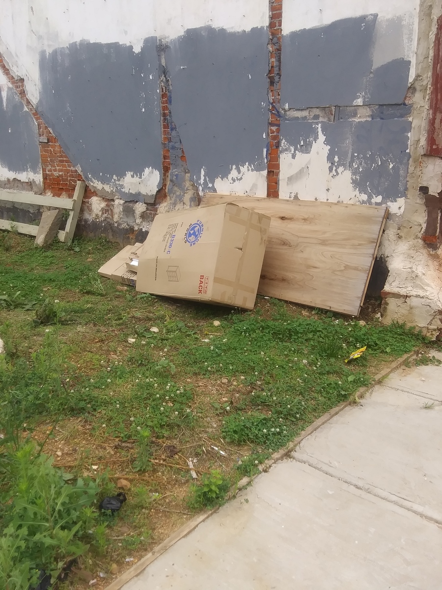 Photographic documentation of the work as submitted to the city's 311 record.