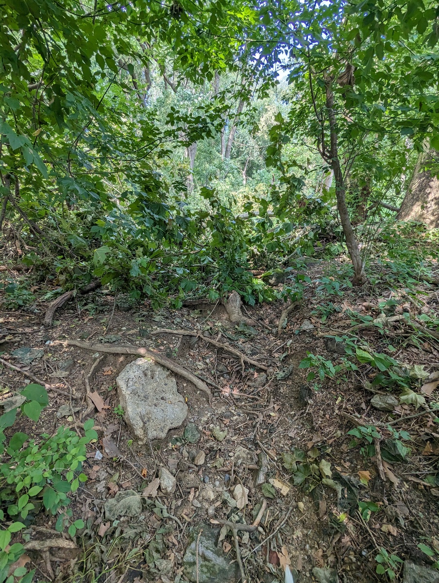 Photographic documentation of the work as submitted to the city's 311 record.