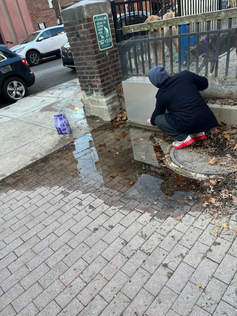Photographic documentation of the work as submitted to the city's 311 record.