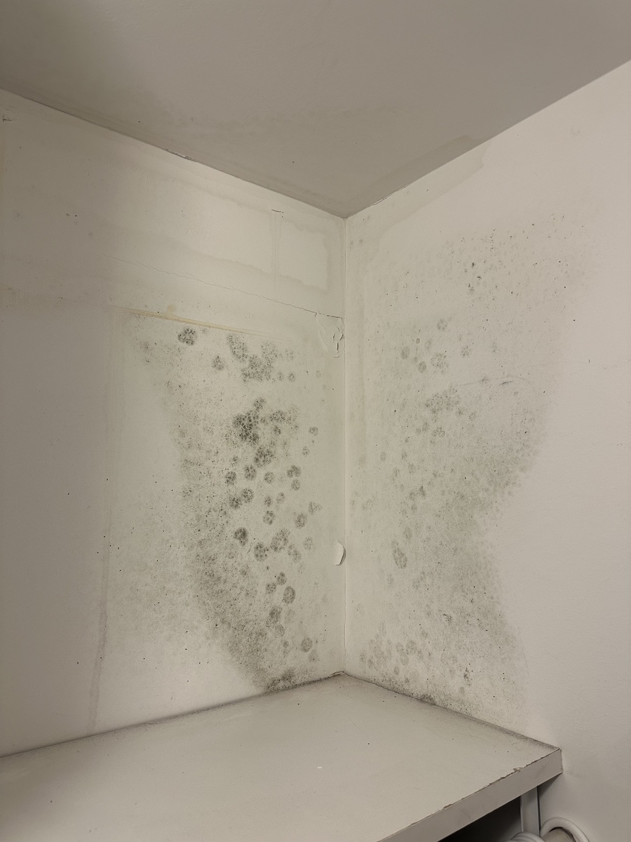 Photographic documentation of the work as submitted to the city's 311 record.
