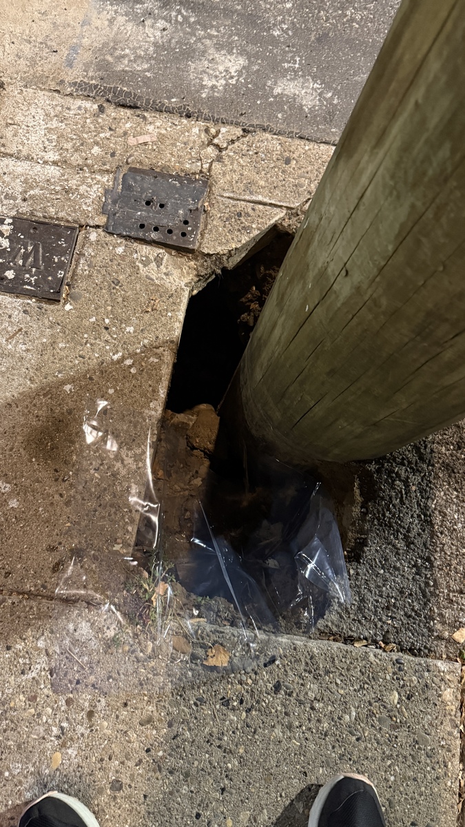 Photographic documentation of the work as submitted to the city's 311 record.
