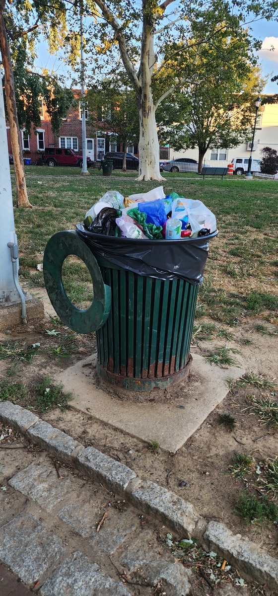 Photographic documentation of the work as submitted to the city's 311 record.