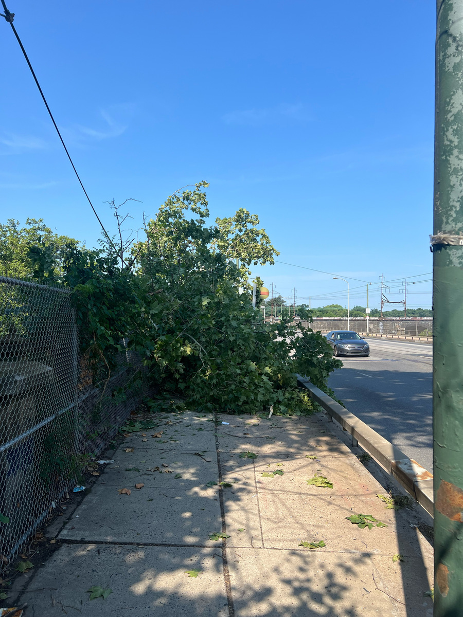 Photographic documentation of the work as submitted to the city's 311 record.