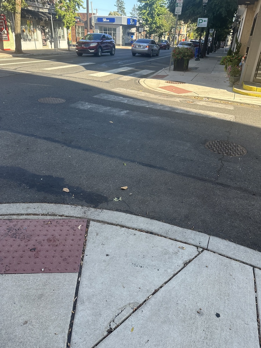 Photographic documentation of the work as submitted to the city's 311 record.