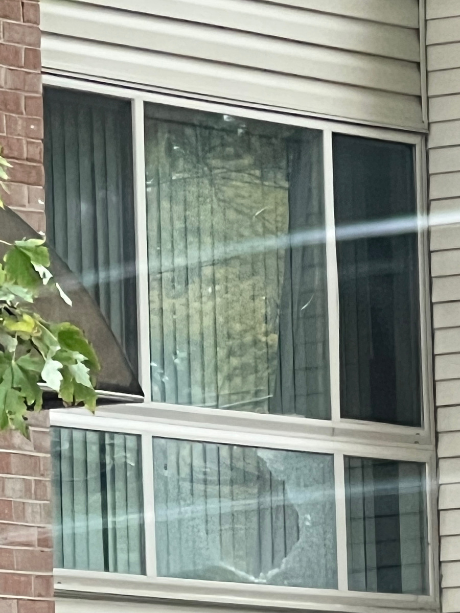 Photographic documentation of the work as submitted to the city's 311 record.