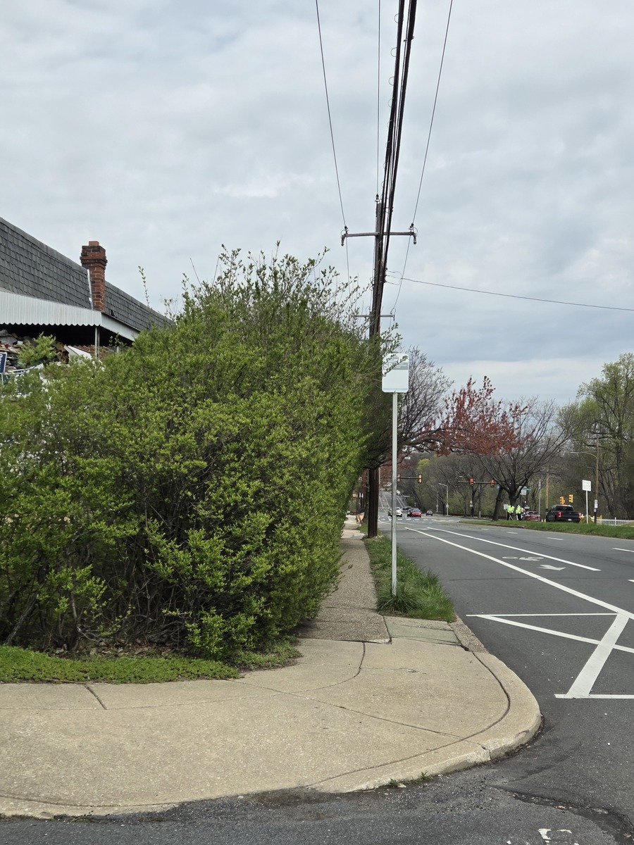 Photographic documentation of the work as submitted to the city's 311 record.