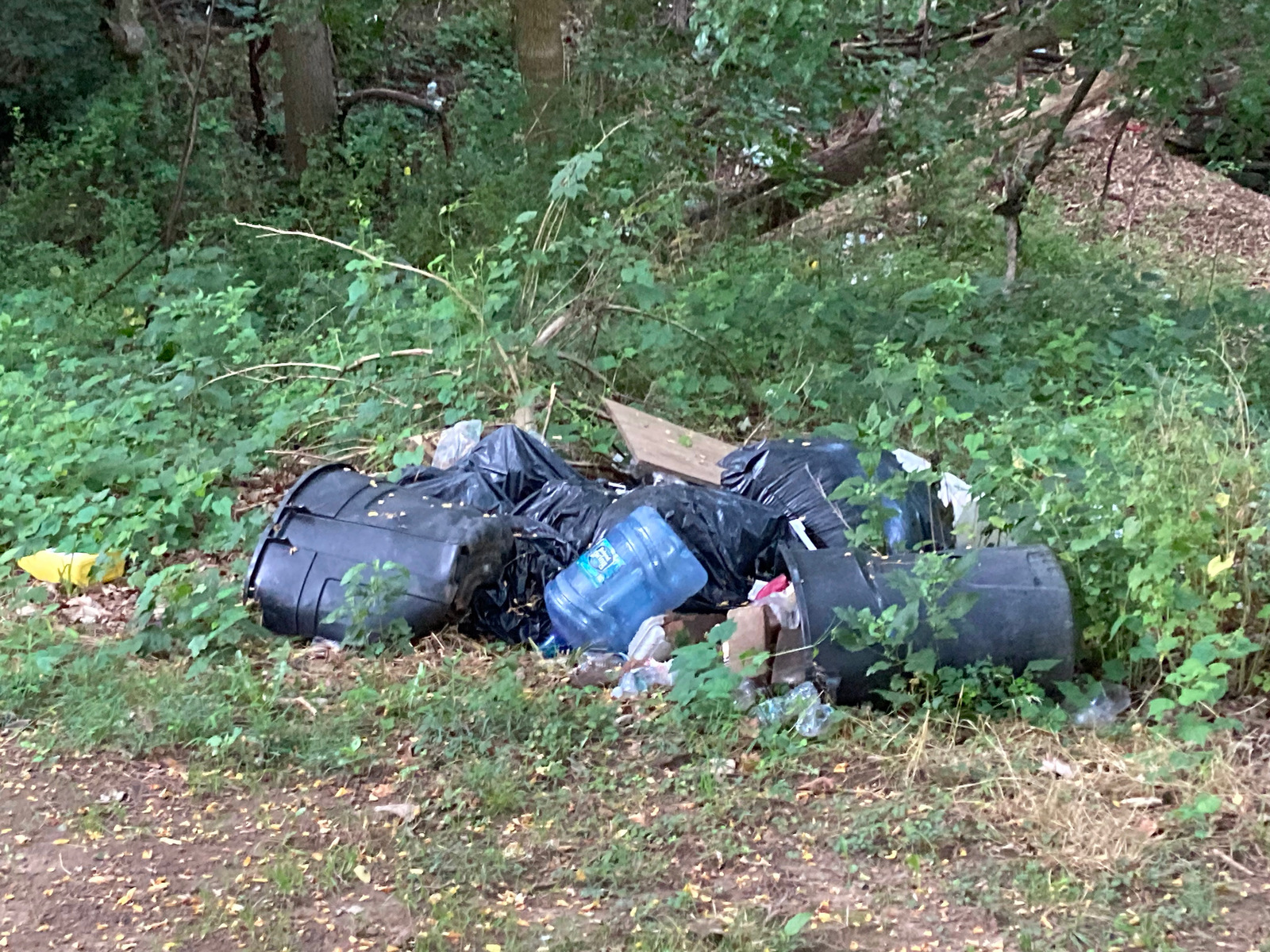 Photographic documentation of the work as submitted to the city's 311 record.
