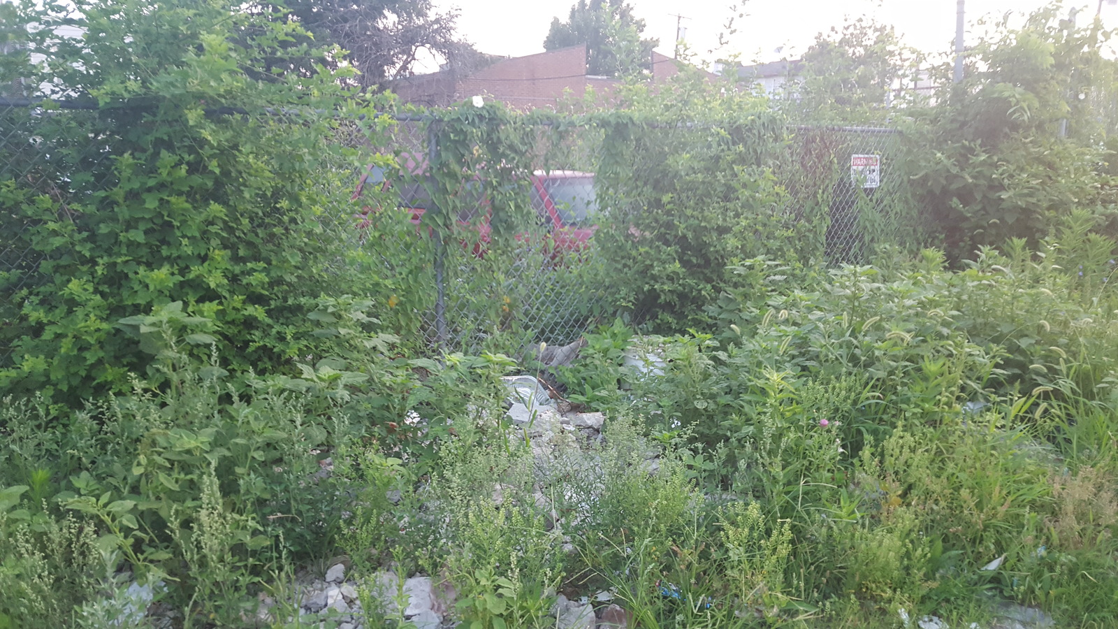 Photographic documentation of the work as submitted to the city's 311 record.