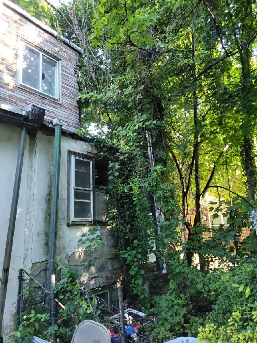 Photographic documentation of the work as submitted to the city's 311 record.