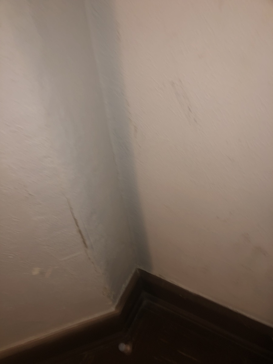 Photographic documentation of the work as submitted to the city's 311 record.