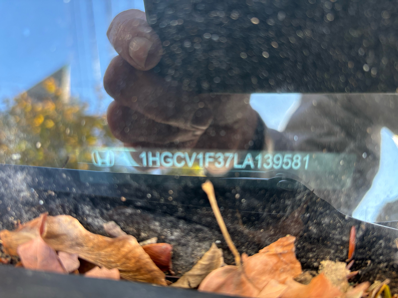 Photographic documentation of the work as submitted to the city's 311 record.