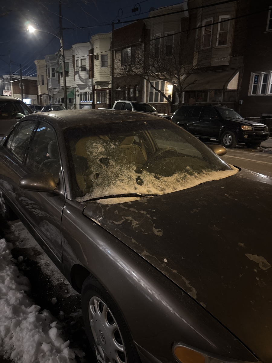 Photographic documentation of the work as submitted to the city's 311 record.