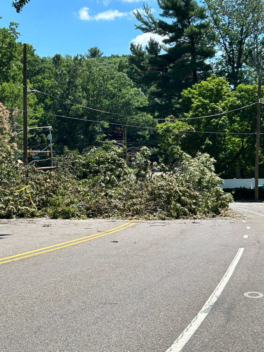 Photographic documentation of the work as submitted to the city's 311 record.