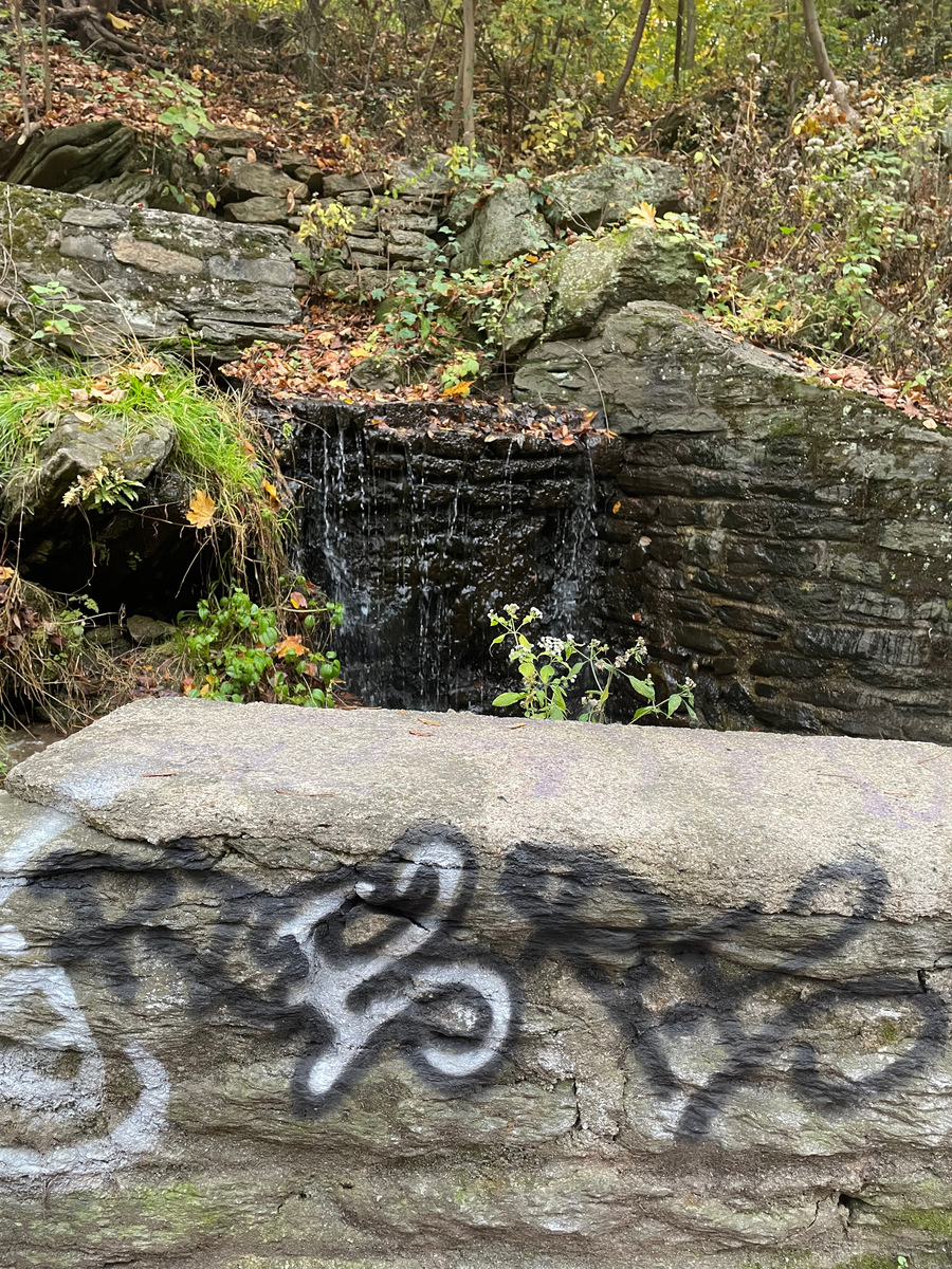 Photographic documentation of the work as submitted to the city's 311 record.