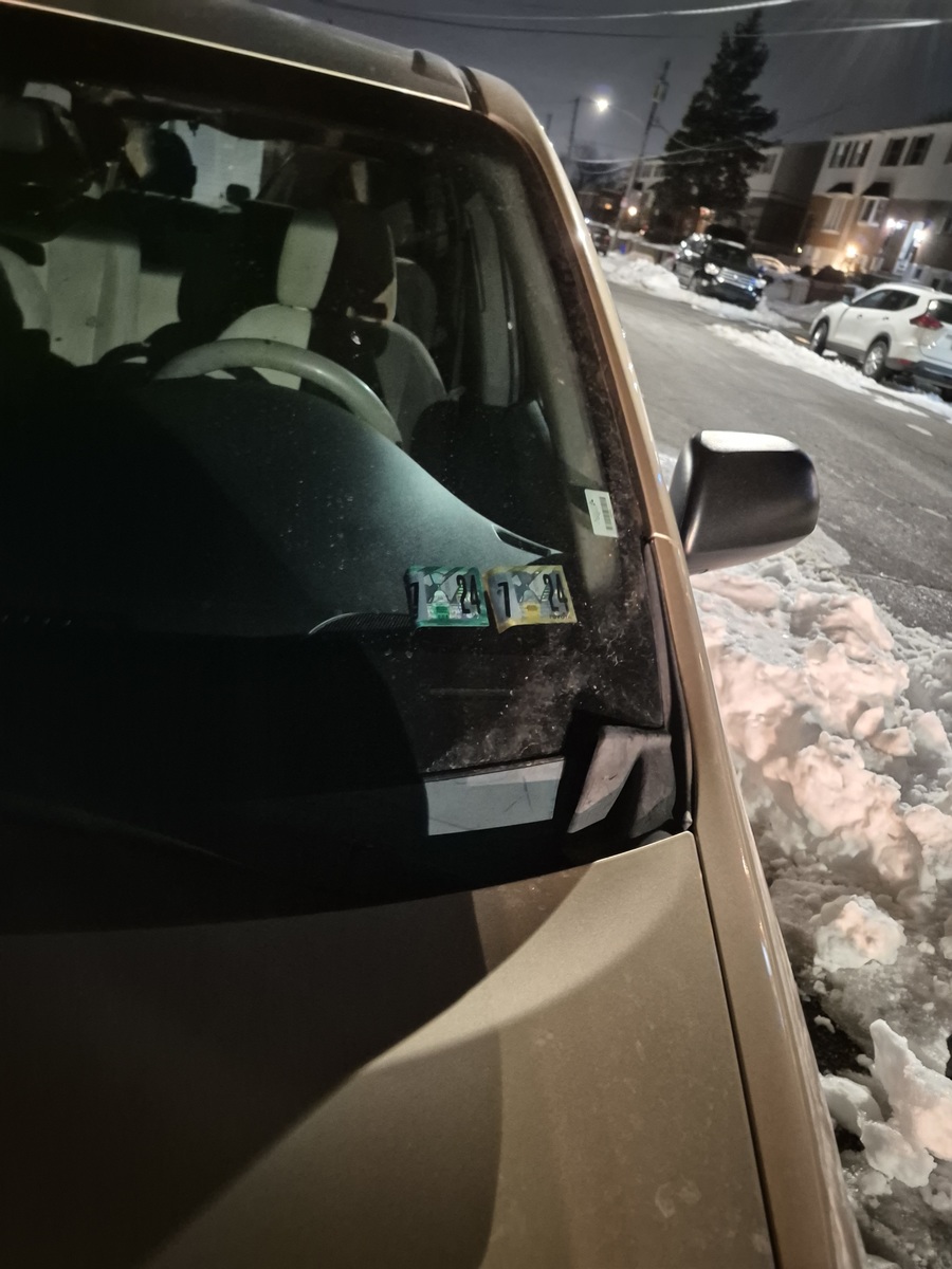 Photographic documentation of the work as submitted to the city's 311 record.