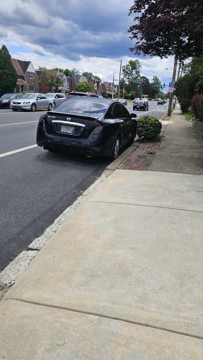 Photographic documentation of the work as submitted to the city's 311 record.