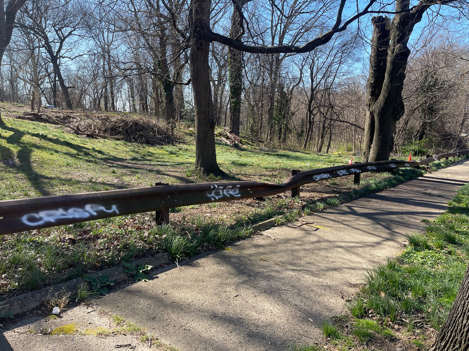 Photographic documentation of the work as submitted to the city's 311 record.