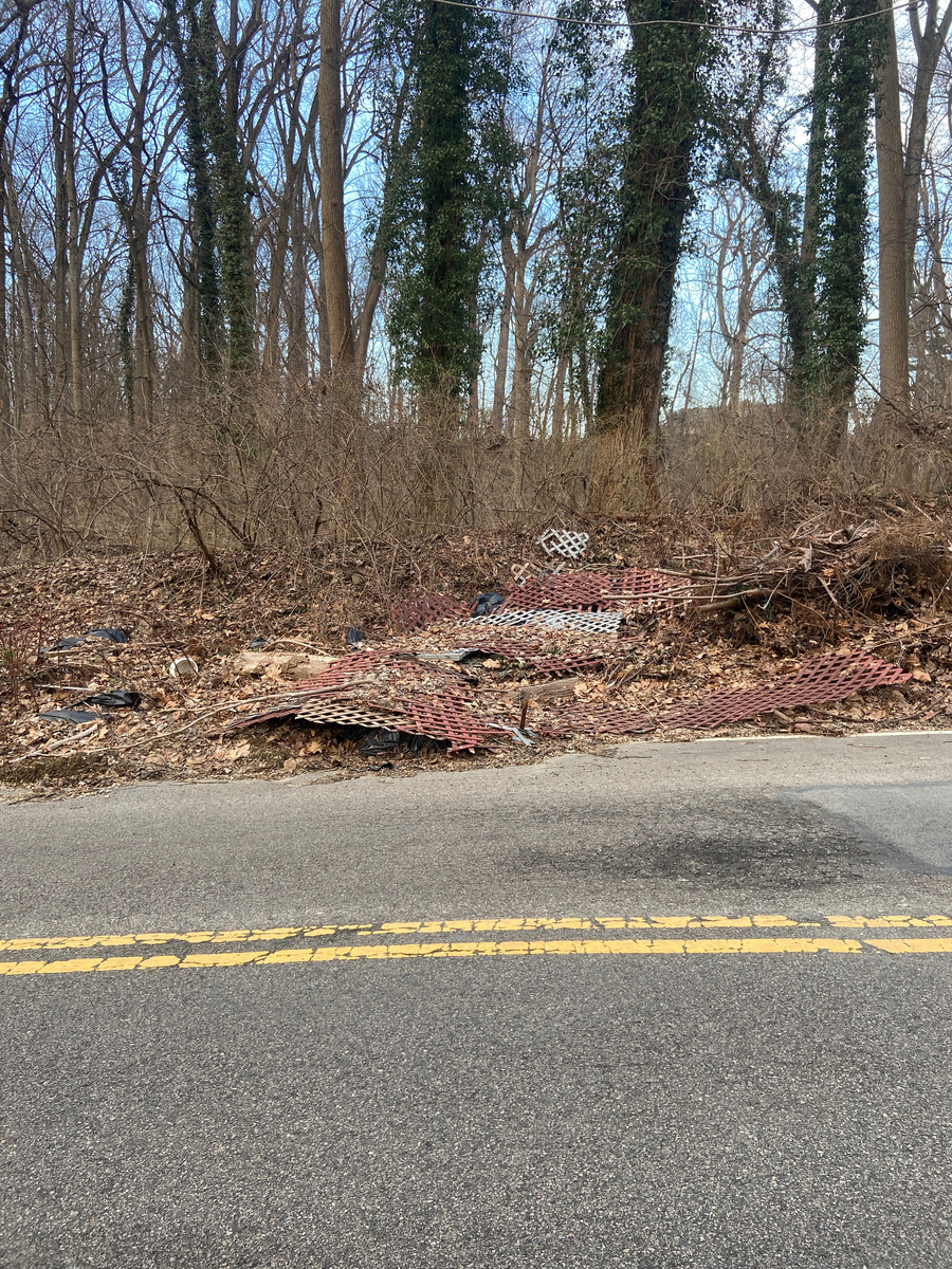 Photographic documentation of the work as submitted to the city's 311 record.